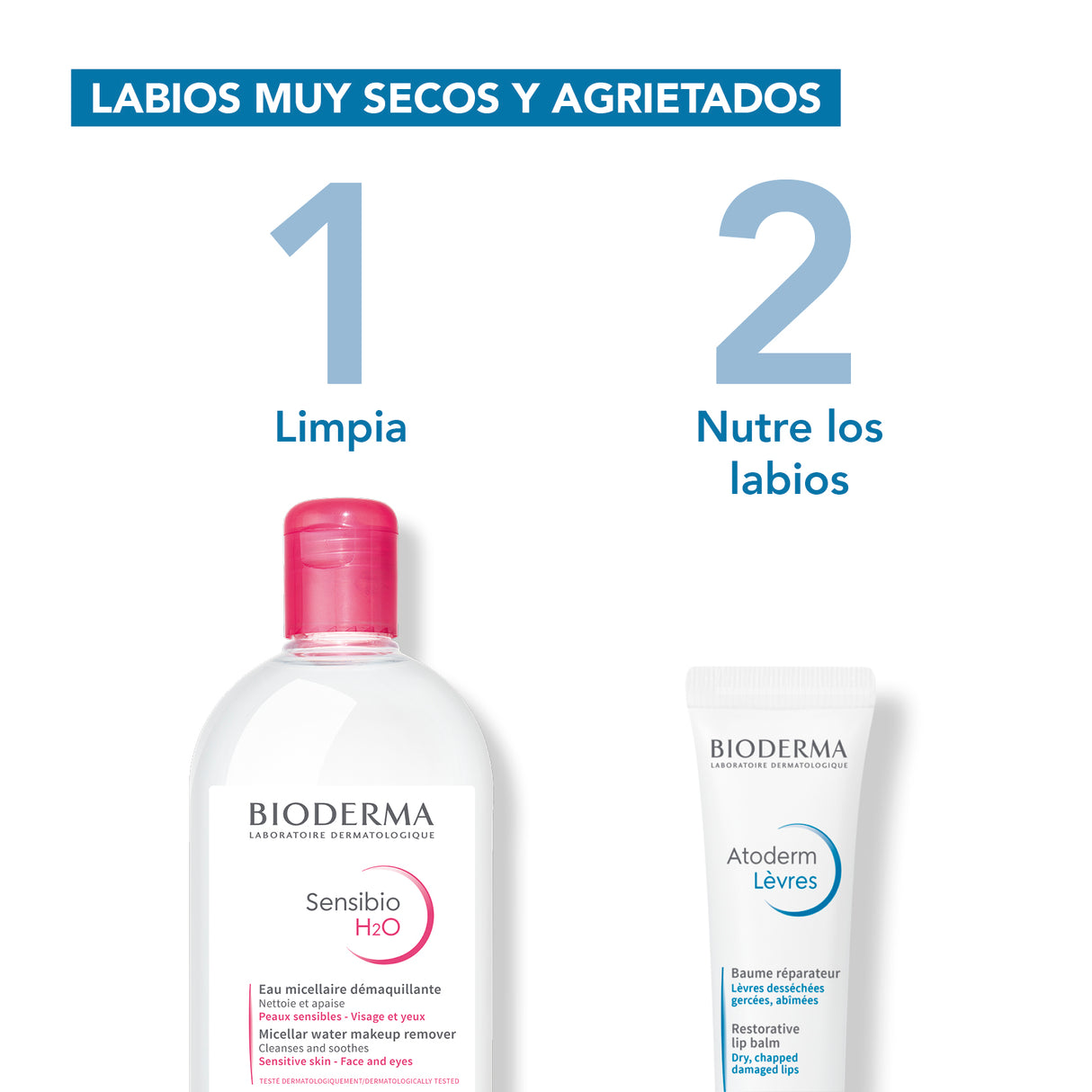 Bioderma Atoderm Levres Baume 15 ml.